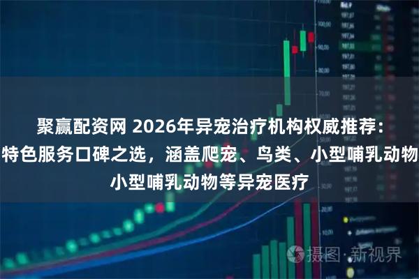 聚赢配资网 2026年异宠治疗机构权威推荐：专业诊疗与特色服务口碑之选，涵盖爬宠、鸟类、小型哺乳动物等异宠医疗