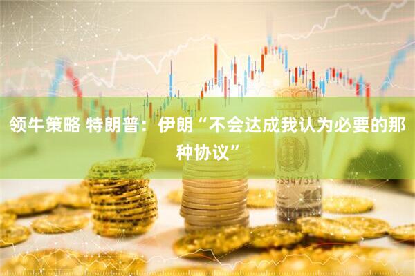 领牛策略 特朗普：伊朗“不会达成我认为必要的那种协议”